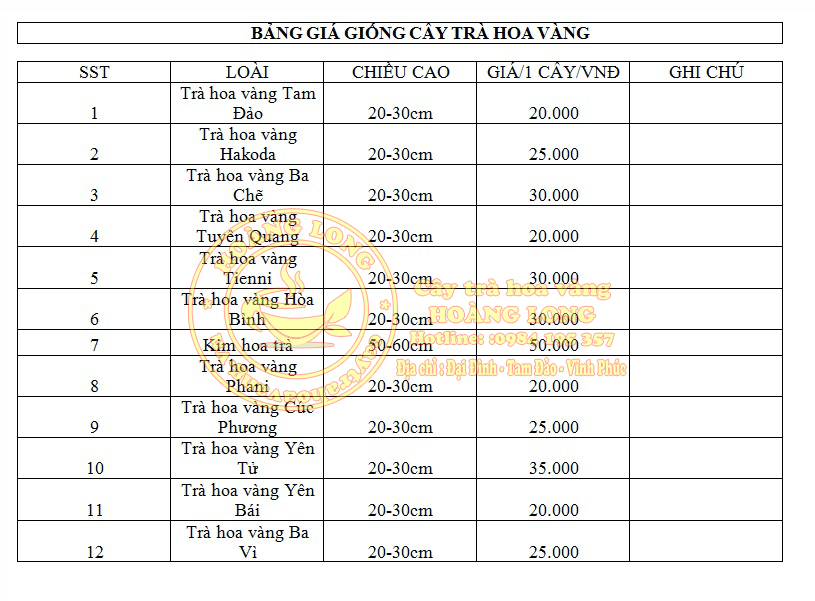 Bảng giá cây giống trà hoa vàng mới được cập nhập tại Doanh nghiệp trà hoa vàng Hoàng Long.